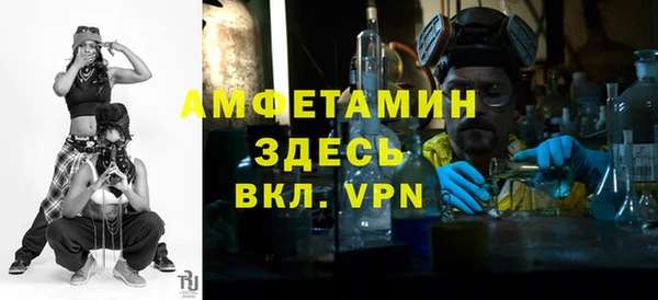 мдпв Бородино