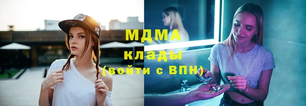 мдпв Бородино