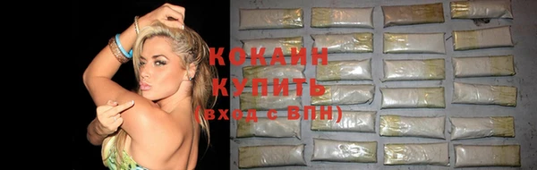 мдпв Бородино