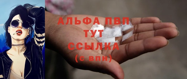мдпв Бородино