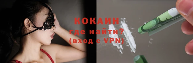 мдпв Бородино