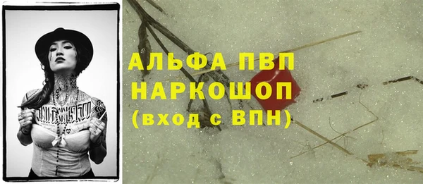 мдпв Бородино