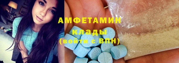 мдпв Бородино