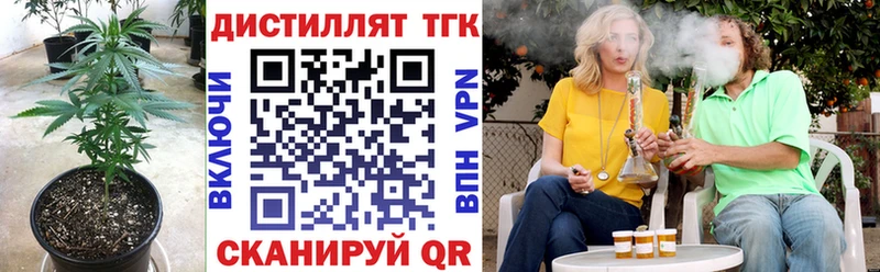 дарнет шоп  Томск  ТГК концентрат 