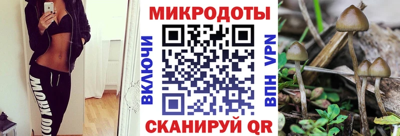 Псилоцибиновые грибы Psilocybine cubensis  наркошоп  Томск 